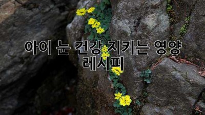 아이 눈 건강 지키는 영양 레시피
