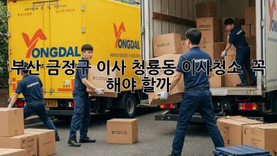 부산 금정구 이사, 청룡동 이사청소 ✨ 꼭 해야 할까? 🤔